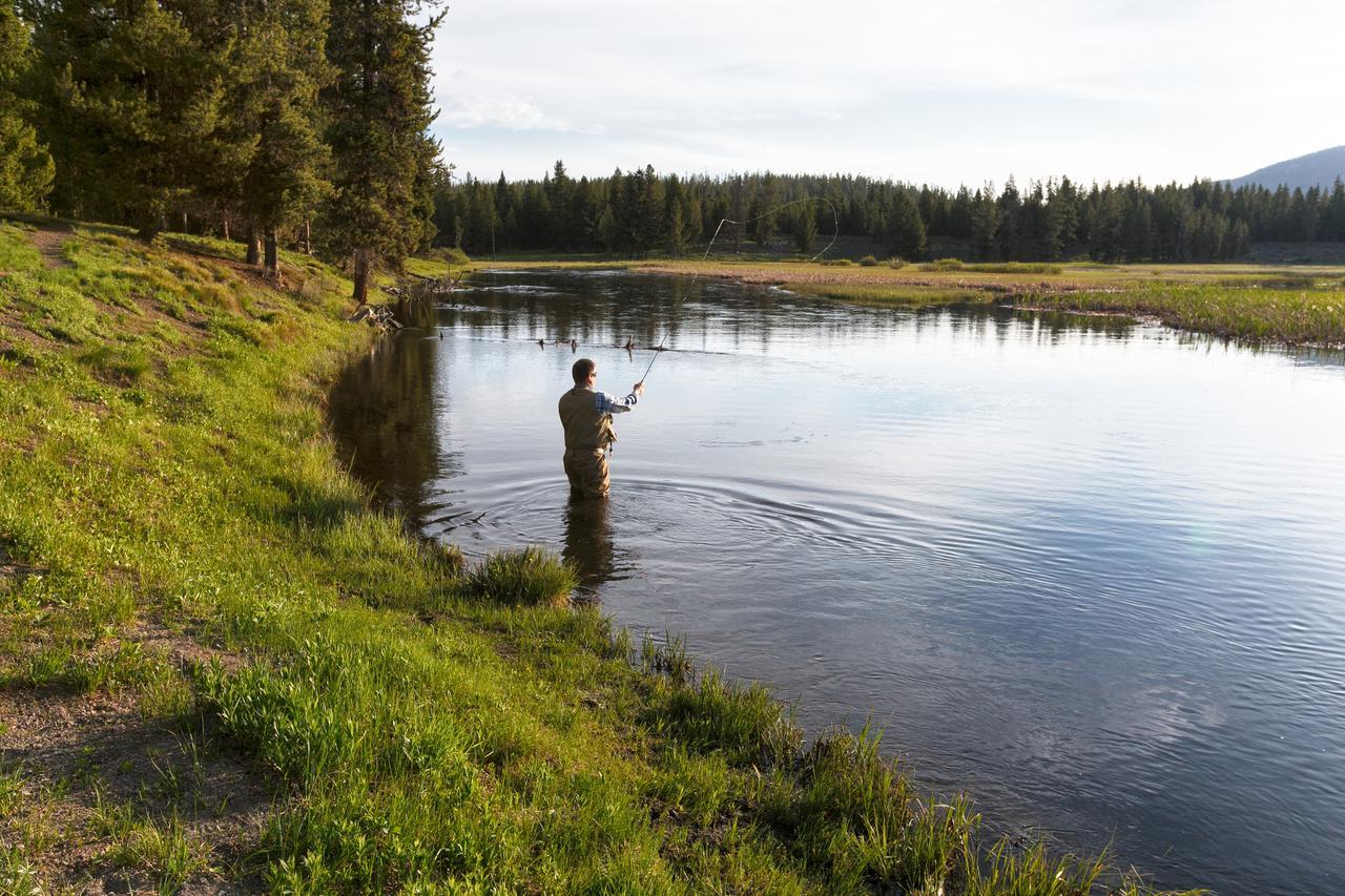 Headwaters Lodge & Cabins At Flagg Ranch Moran Buitenkant foto